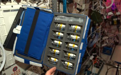 Microgravity experiments