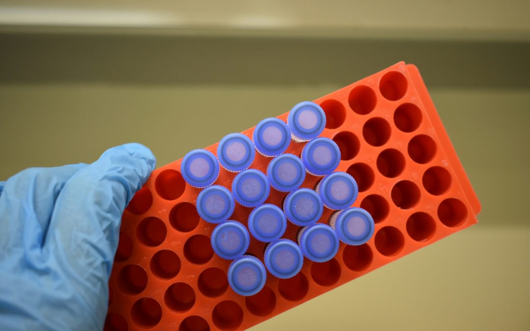 PROSSE 2026 allocates €600,000 to support research